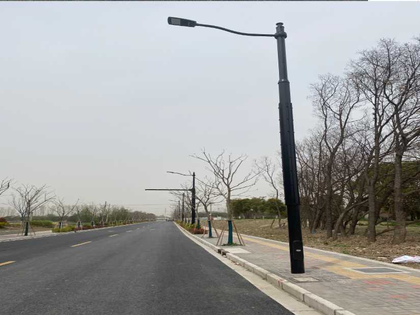 东台市上海综合杆 太阳能路灯工程
